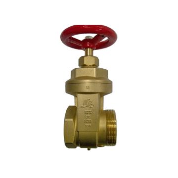Hydrant Gate Valve 2-1/2" (F)NPT x (M)Hose