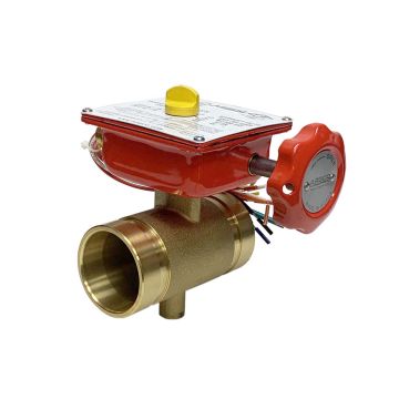 Bronze Butterfly Valve Grooved 1-1/4" 300#
