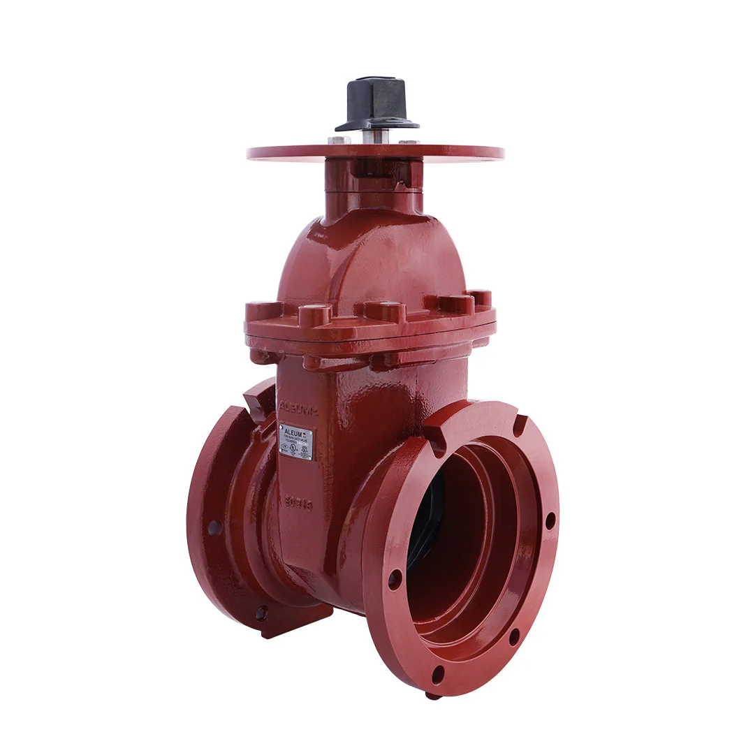 NRS GATE VALVES MECH JOINT