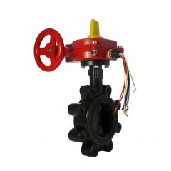 Butterfly Valve 2-1/2" Fire Protection Type Lug Style 300PSI