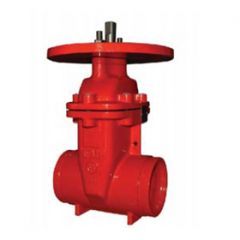 NRS Gate Valve D.I. Body GxG 2-1/2" 300PSI UL/FM