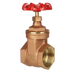 Brass Gate Valve 2" NPT thread 200#