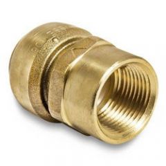Push Fit 3/4" x 3/4" Brass FPT