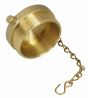 FDC Plug & Chain 2-1/2" NST Alum Brass
