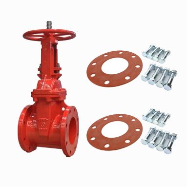 Fire Protection OS&Y Gate Valve D.I. Body Flanged 2-1/2" w/ two NBG kits