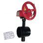 Fire Protection Butterfly Valve Groove 2-1/2" 300# UL,FM