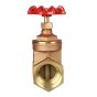 Brass Gate Valve  3/4" NPT thread 200#