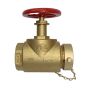 Fire Hose Globe Valve 2-1/2" F(NPT) x M(NST)