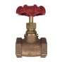 Globe Valve  1/2" NPT thread 200# w/Rubber Seat