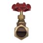 Globe Valve  1/2" NPT thread 200# w/Rubber Seat