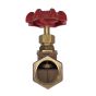 Globe Valve  1/2" NPT thread 200# w/Rubber Seat