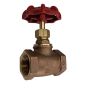 Globe Valve  1/2" NPT thread 200# w/Rubber Seat